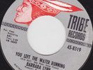 NORTHERN SOUL 45 RPM - BARBARA LYNN on TRIBE RECORDS