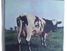 MFSL PINK FLOYD ATOM HEART MOTHER SEALED AUDIOPHILE LP RARE