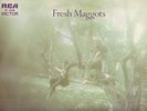 FRESH MAGGOTS UK RCA 1971 orig psych folk NM vinyl rare