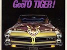 TIGERS-PICTURE SLEEVE + PROMO 45 on COLPIX--(GeeTO TIGER)--1965--PS--PIC---SLV