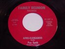 Pan Earth: Afro-Kangaroo 45 - Soul Funk - HEAR IT