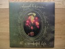 Sparklehorse 