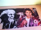VASCO ROSSI - LP SIAMO SOLO NOI - P.STAMPA ET. TARGA RECORDS E TAPES TAL 1404