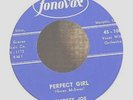Rockabilly R'n'B 45-Smokey Joe-Perfect Girl-Fonovox-VG++ NICE