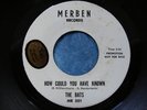 RARE GARAGE PSYCH PROMO 45 - THE BATS - HOW COULD YOU HAVE KNOWN - very nice 