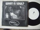 Friday Club - What Is Soul? pic sleeve 7