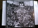 MERAUDER TEST PRESS LP RARE hardcore nyhc sxe xxx all out war fury of five