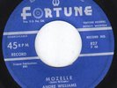 45-R&B-ANDRE WILLIAMS on FORTUNE-MOZELLE/JUST WANT A LITTLE LOVIN'-NM-