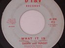 DAWN AND SUNSET What It Is DT&V Private Bay Area Funk Sweet  Soul 45 HEAR