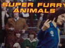 Super Furry Animals - 