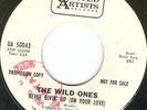 THE WILD ONES *RARE* 66 Garage Rock MONO PROMO  NM  *LISTEN*