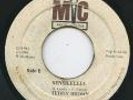 Teddy Brown - Bad Man Wagon & Sensimilia  Killer Digi Roots 7inch   
