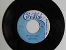 RARE 1958 SEATTLE rockabilly 45 MADDY BROTHERS 