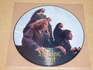 Gothic Picture Disc LP von Paradise Lost