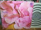 STILL LIFE same UK Vertigo prog original 1972 LP