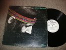 BRUCE PALMER,THE CYCLE IS COMPLETE,mystical acid psych,dj white label promo