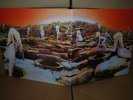 Led Zeppelin - Houses Of The Holy LP 1973 - in Top Mint Condition