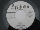 ROAD'S END Why Garage Psych 45 on Brahma RARE Psychedelic Unknowns Obscure