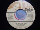 Modern Soul 45 Cash The Joy of You on Casbar RARE Ohio Pittsburgh