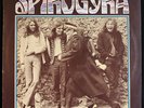 Spirogyra 