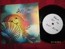 Sidewalk Society FRUITS DE MER 14 Test Pressing Psych Kinks Small Faces Remo 4