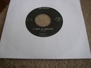 Magic Sam-I Got a Feeling/ same