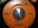 David Orrell - Be My Baby - You're the One KILLER ROCKABILLY VERY RARE Hear