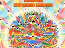 FUZZ, ACID & FLOWERS EXPANDED EDITION USA ROCK GUIDEBOOK Psych Garage Pop LP 45