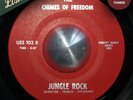 Chimes of Freedom - Jungle Rock KILLER JUNGLE EXOTICA GARAGE FUZZ RARE Hear