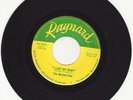 The Mustard Men- I Lost My Baby- 60's Wisconsin Garage Rock 45- Raynard Label