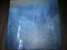 Wolves in the throne 