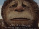 Karen O and the Kids-Where the Wild Things Are LP OOP yeah yeah yeahs