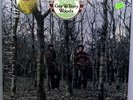 GAY & TERRY WOODS BACKWOODS ACID FOLK POLYDOR UK 1975 PRESSING 2383322