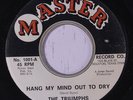 TRIUMPHS: Hang My Mind Out To Dry / The World Is Dying 45 (TX garage-psych c. '