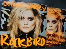 ANDY WARHOL 12” ART COVER DEBBIE HARRY / DARK ORANGE VERSION