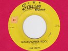 45 RPM Link Davis STARDAY 242 Grasshopper Rock