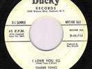 Rare DooWop - The Tender Tones on Ducky 713 - promo - crack - No Reserve - HEAR