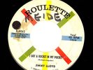 ROCKABILLY 45 Jimmy Lloyd I GOT A ROCKET IN MY POCKET on ROULETTE 4062 rare