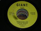 Lorraine Chandler NORTHERN SOUL 45 What Can I Do / Tell Me Youre Mine