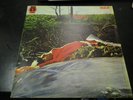 SPRING  SPRING LP RCA NEON PROG GEM VERY RARE LP