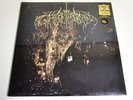 WOLVES IN THE THRONE ROOM-TWO HUNTERS-LP/VINYL