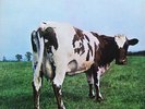 PINK FLOYD-ATOM HEART MOTHER VINYL LP 1st PRESS    A1G/B1G