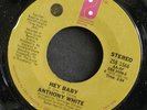 70s Soul 45 ANTHONY WHITE on PHILADELPHIA INTERNATIONAL Hey Baby/Never Be HEAR