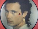 ADAM ANT 