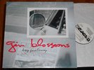 Gin Blossoms Hey Jealousy 12