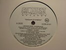 CONQUEST OF A NATION on Conquest promo random ATL rap LP RARE *Listen*