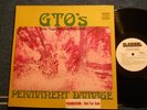 *G.T.O.'s -Permanent Damage, 1969 WLPromo on Straight, Zappa, Pamela des Barres