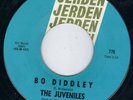 RABID JERDEN GARAGE FUZZ PUNK STOMPER - THE JUVENILES - BO DIDDLEY -  HEAR