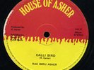 Ras Imru Asher - Fourth Generation / Calli Bird UK orig 12