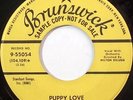 TERRY NOLAND Oh Baby Look At Me BRUNSWICK Rockabilly PROMO 45 HEAR MP3